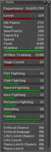 Master Sorcerer lv 129 ml 67 - Tibia