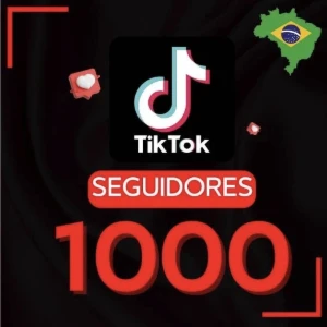 Seguidores tiktok