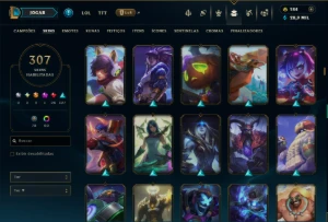 Unranked com TODOS os Champs e 307 Skins ( ADC / SUP ) - League of Legends LOL