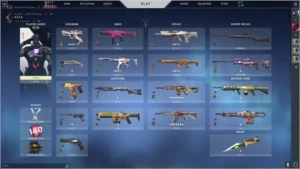 20 skins l platina 1 l dados completos - Valorant