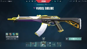 Conta valorant varias skin de vandal ! OURO 1