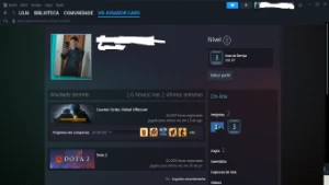Vendo CONTA Steam 24 mil horas CSGO apenas - Counter Strike