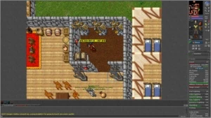 Account No pvp +char bonus tibia
