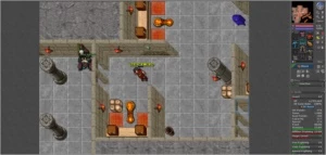 Account No pvp +char bonus tibia