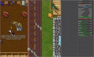 MS e RP+ makers COM 56 dias de premmy - Tibia