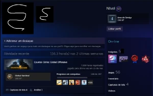Conta Steam Level 63 Csgo, Lv 20 Gc E 10 Faceit + Prime Csgo - Counter Strike
