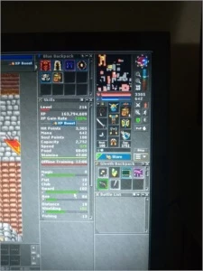 Conta com 1 EK 216, 1 EK 172 e um RP 47 - Tibia