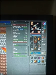 Conta com 1 EK 216, 1 EK 172 e um RP 47 - Tibia
