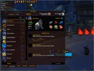 Rare Account  Mage Fire 450 ilvl - Blizzard