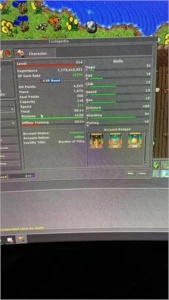 RP 410+ Npvp Mundo Verde - Tibia