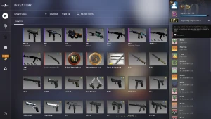 CSGO PRIME ÁGUIA2 LVL 17 GC SKIN DE FACA E ARMAS 18 ANOS - Counter Strike
