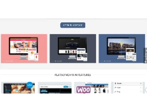 Tema WordPress Flatsome + Atualizações - Outros