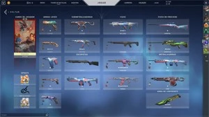 Conta Valorant Skin's