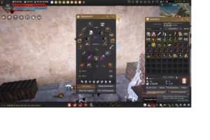 Conta De Black Desert Perfeita