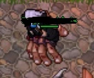 VENDO EK 209 TIBIA NON PVP COM MOUNTS ADDONS E TIBIA COINS
