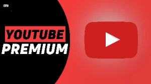 Youtube Premium Individual - Via Link - Assinaturas e Premium
