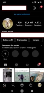 Perfil Instagram 67,4Mil Seguidores - Redes Sociais