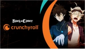 Crunchyroll Assinatura 30 dias (Não é conta) Key/Chave - Outros