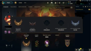 Conta 181 Skins Com  Todos Os Champions - League of Legends LOL