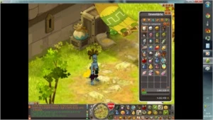 Conta Dofus Ecaflip 199, Servidor Spiritia