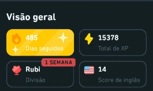 Conta duolingo 485 dias - Others
