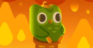 Conta duolingo 485 dias - Others