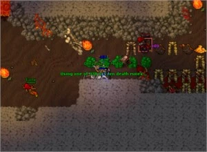 Elder Druid lvl 186 - Tibia