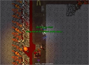 Elder Druid lvl 186 - Tibia