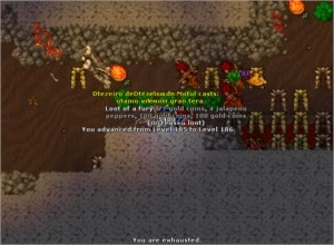 Elder Druid lvl 186 - Tibia