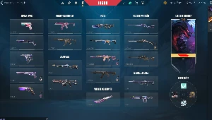 Conta Valorant Fa Com Varias Skins