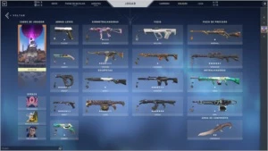 Valorant - Coleção ancifogo completa + algumas outras skins