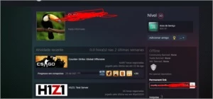 2 Contas csgo medalhas de 10/5 anos 6kh d jogo sem prime - Steam