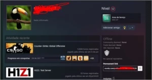 2 Contas csgo medalhas de 10/5 anos 6kh d jogo sem prime - Steam