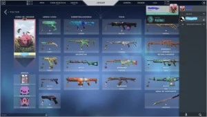 Conta Platina com diversas Skins - Valorant