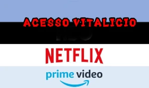 🟢Envio imediato🚀NetFlix+Prime Vídeo vitalicio - Outros