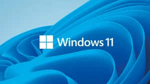 Microsoft Windows 11 Home Retail - Softwares e Licenças