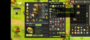 conta LV 200 Completa Set e itens de aparência - Dofus