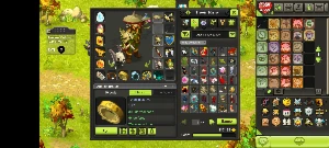 conta LV 200 Completa Set e itens de aparência - Dofus