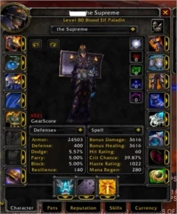 PALA FULL ALL WOW BRASIL 3.3.5 - Blizzard