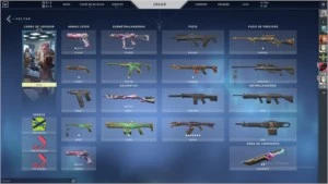 PLAT1 SKINS - Valorant