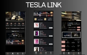 Script Php De Investimento Tesla Link - Outros