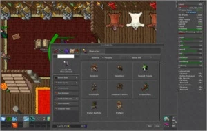 VENDO ED 303 ML 89 - IMPERA OPEN PVP - Tibia