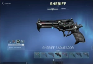 Conta valorant full skins