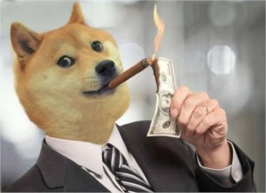 Faço elo job interessados chamar no zap 34 991785571 - League of Legends LOL