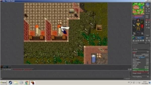 Knight lvl 60 skils 81/74 ml 6 / pally 28 skills 84/72 - Tibia