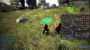 Venda de Conta Black Desert Online – Mid/End Game