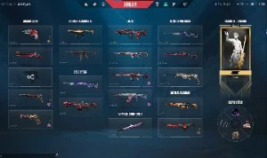 Conta Valorant Faca Saqueadora, Zenofang(1.4K Gastos)