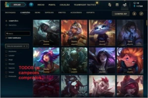 ex mestre, beta skins - League of Legends LOL