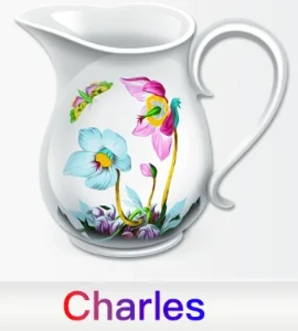 🚀 Licenças Charles Proxy – Vitalicia - Outros