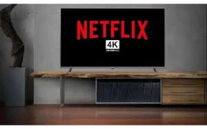 Netflix 4K Privado 30 dias com PIN - Assinaturas e Premium